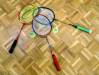 Badminton 13 (10).JPG
